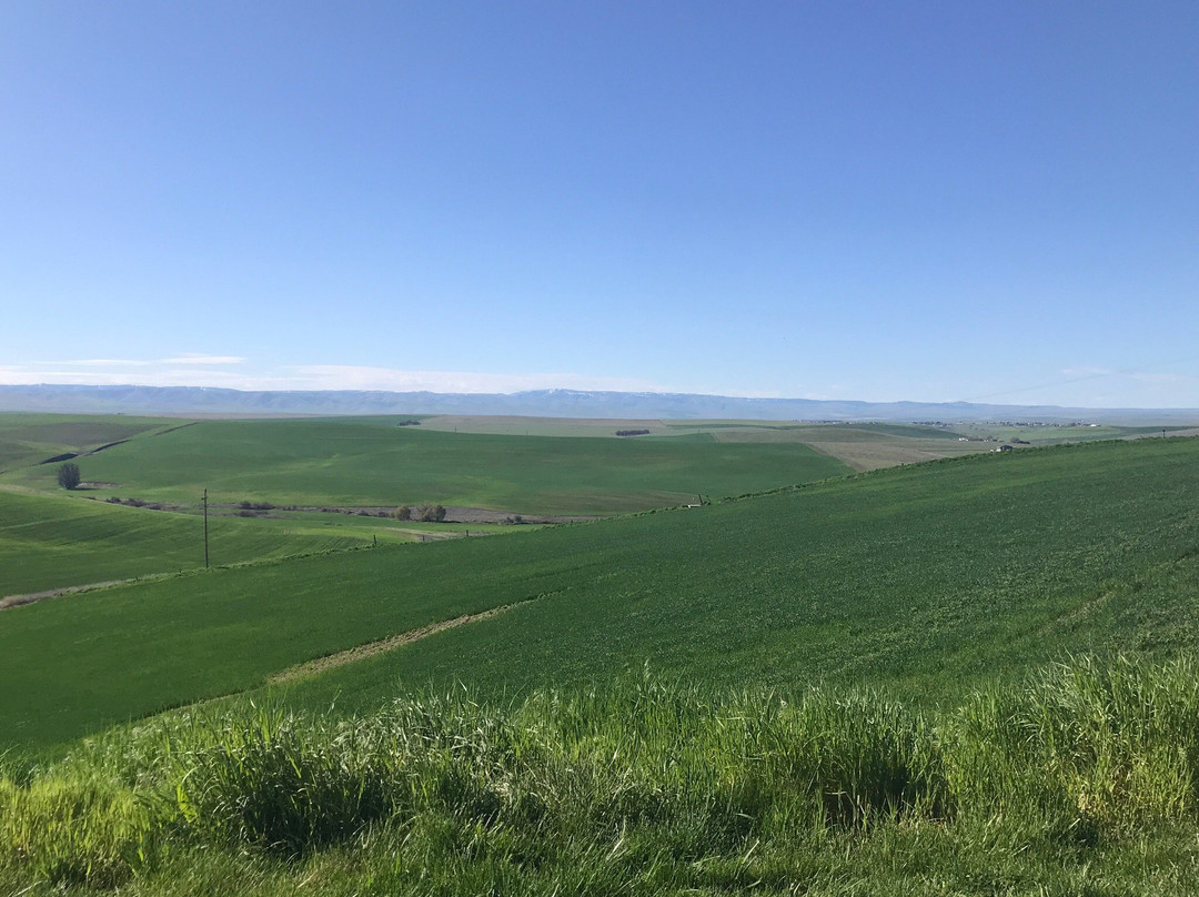 Meacham酒店住宿-Holiday Inn Express Pendleton by IHG