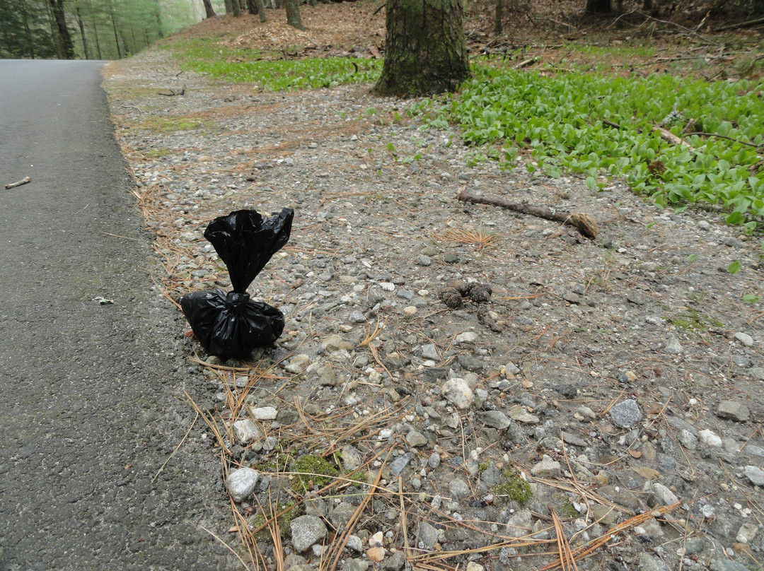 Hopeville Pond State Park-Griswold必去景点