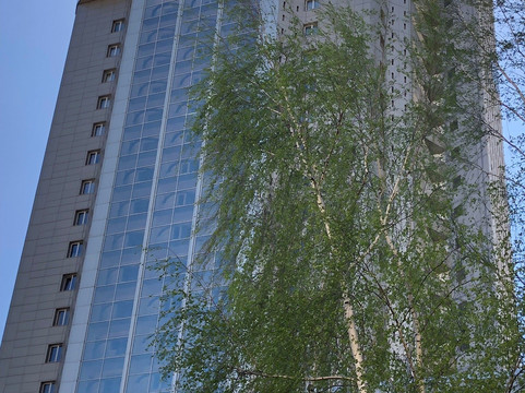 Tver na Ladoni  Observation Deck-特维尔必去景点