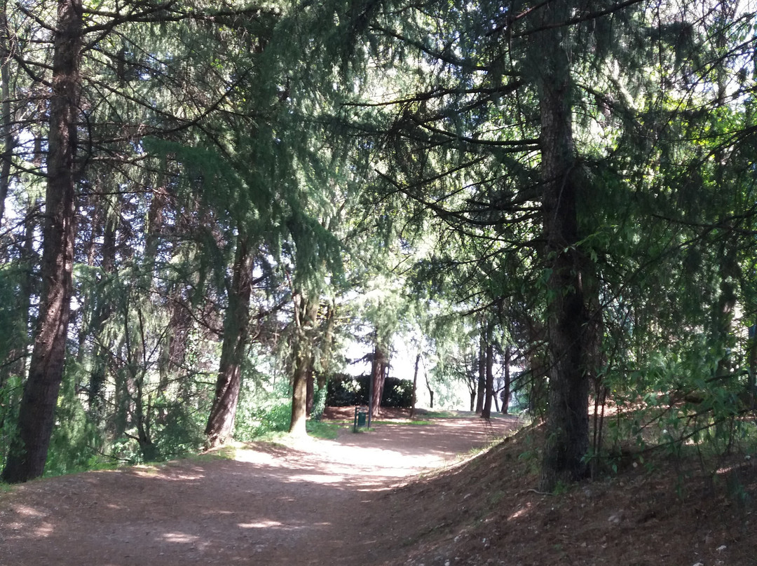 Parco del Lago Nord景点图片