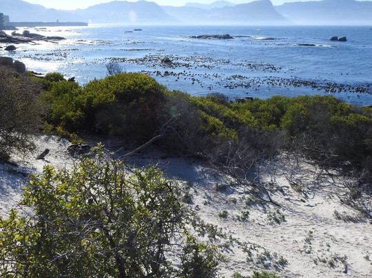 Seaforth Beach-西门镇必去景点