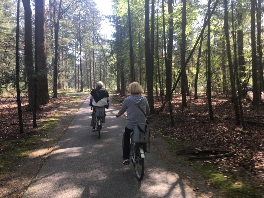 Veluwe Specialist Hoenderloo景点图片