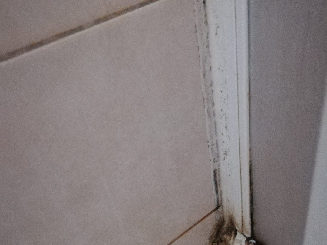 Garni Hotel Park主图