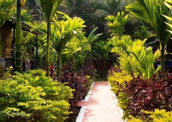 Go Green Spice & Eco Resort-浴室