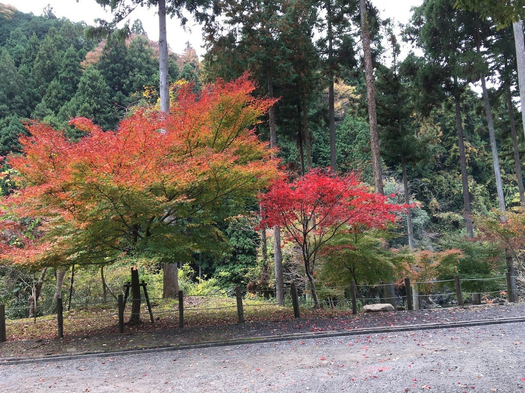 Tara Canyon-大垣市必去景点