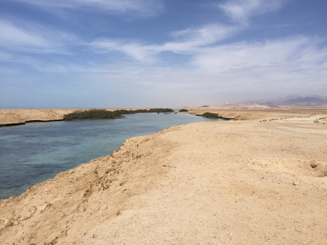 Bibo Viaggi-沙姆沙伊赫必去景点