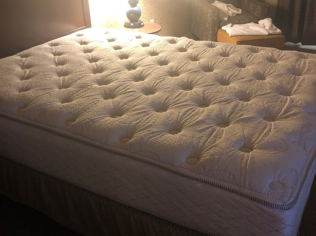 Teddy's Residential Suites New Town主图