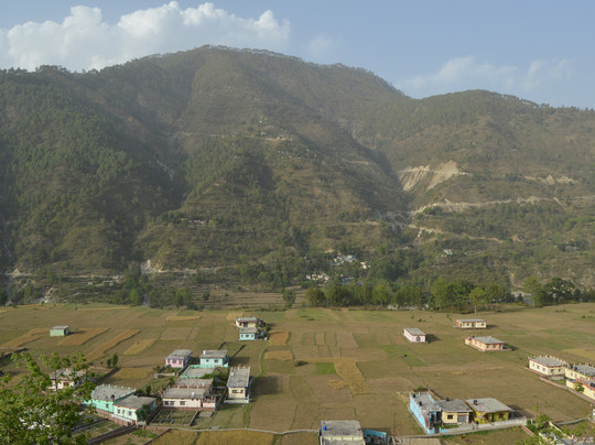 Hotel Wooden Umbrella主图