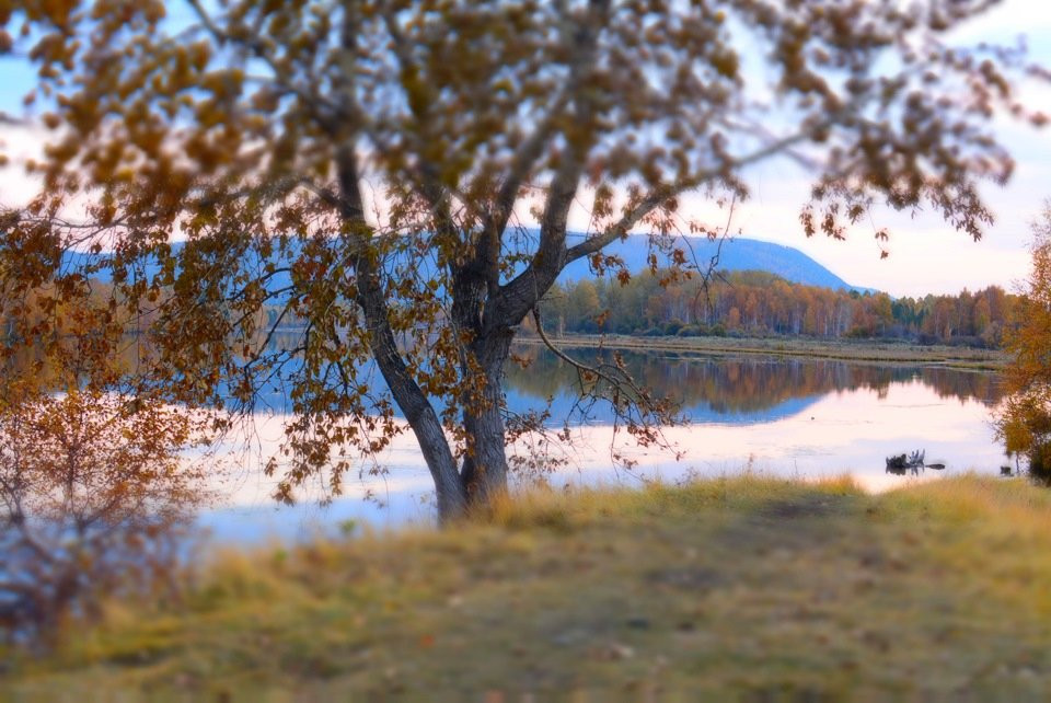 Baushevo Lake-Vvedenshhina必去景点