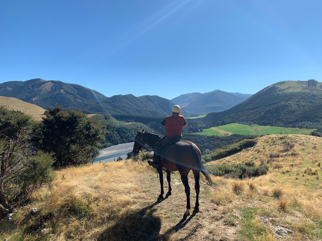 Rubicon Valley Horse Riding-Thornton必去景点