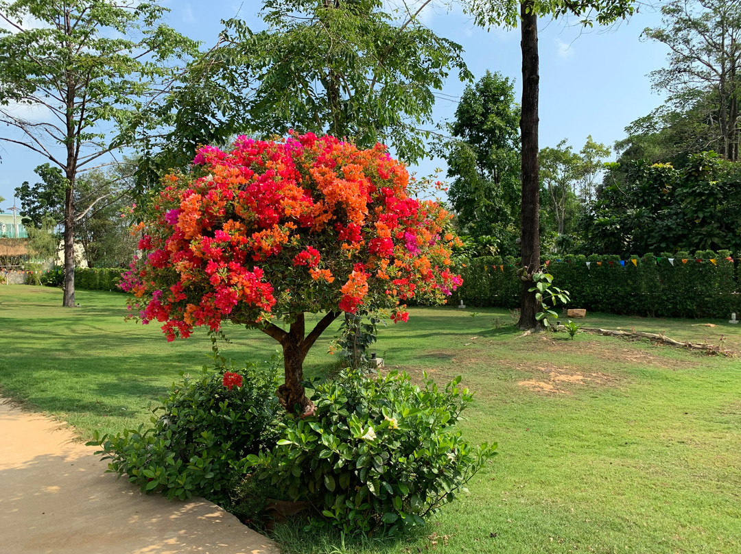 The Elysian Pearl Resort主图