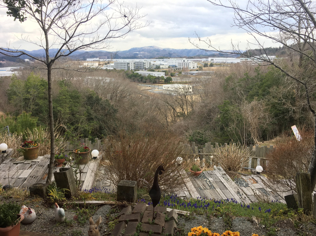 ボルカノ 三原牧場店