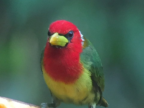 Dana Tours LLC-明多必去景点