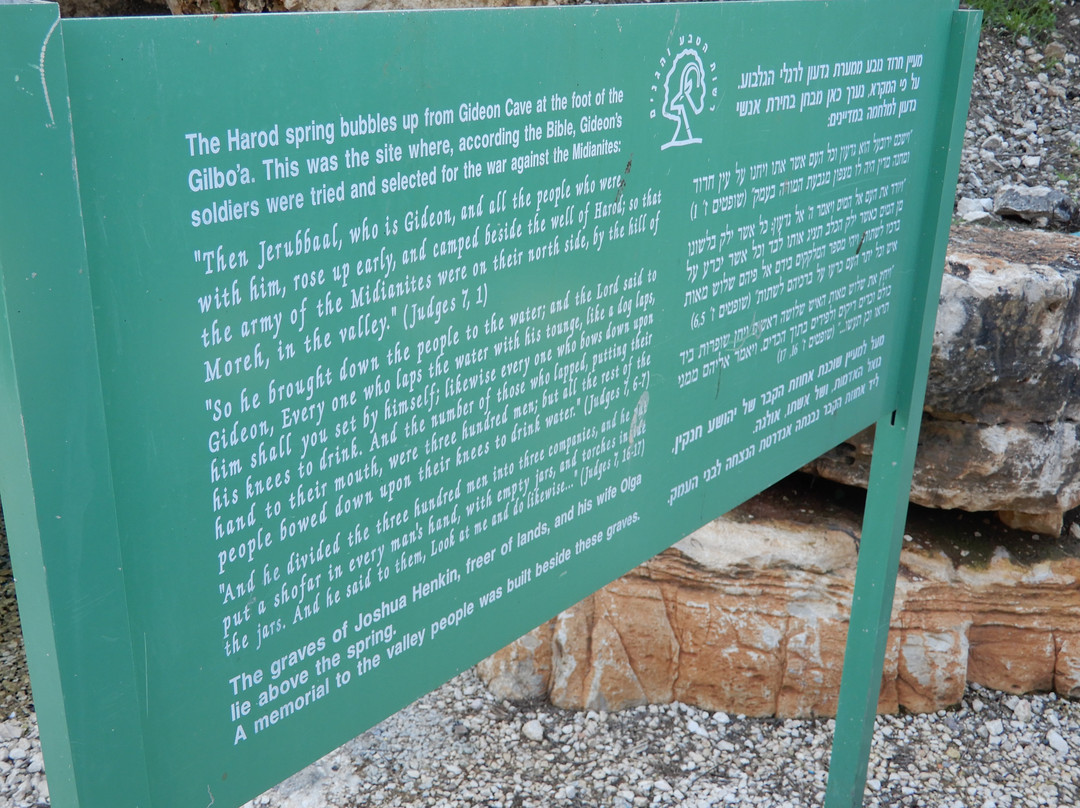 Ma'ayan Harod National Park景点图片