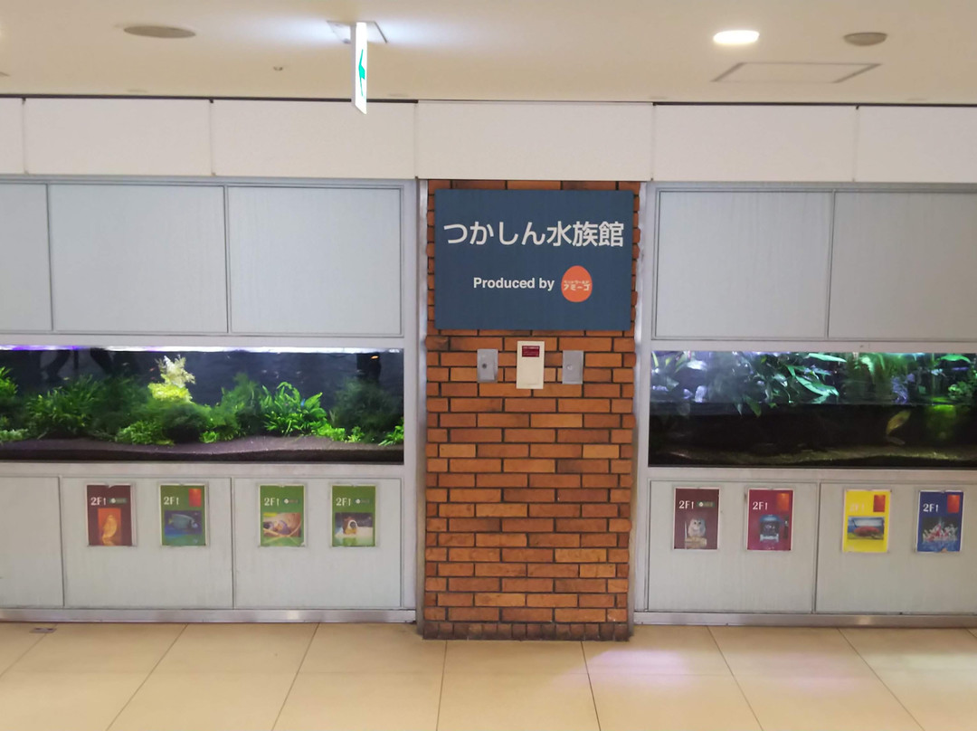 Tsukashin-尼崎市必去景点