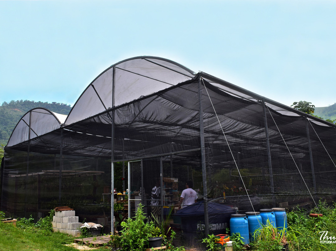 Fábrica de Orquídeas-Paty do Alferes必去景点