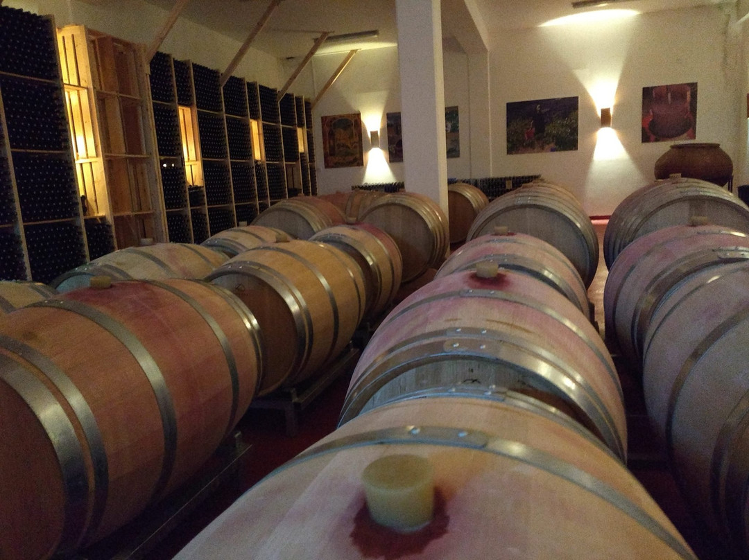 Monolithos Winery景点图片