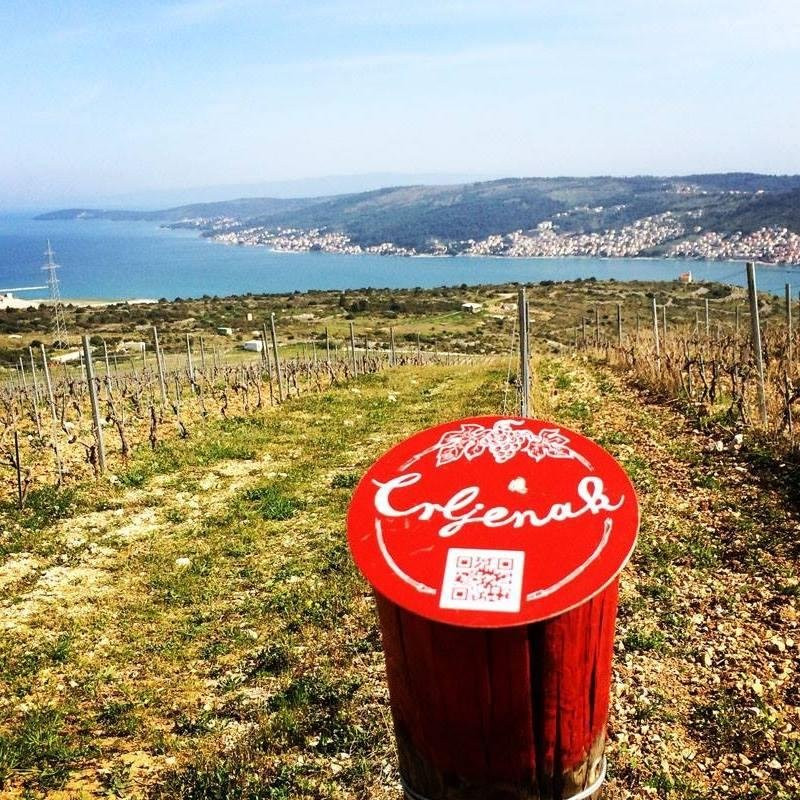 Split Wine Tours景点图片