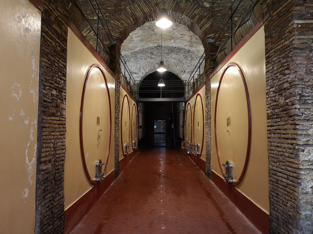 Cantina Castello di Torre in Pietra-Torrimpietra必去景点