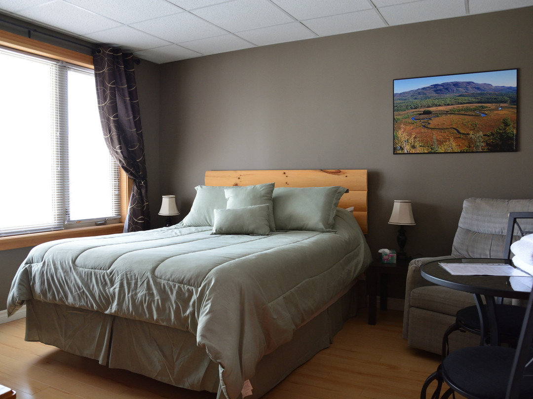 Chalet les Berges d'Alma B&B主图