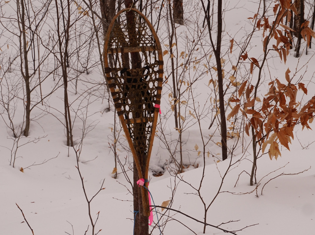 Auberge Couleurs de France主图