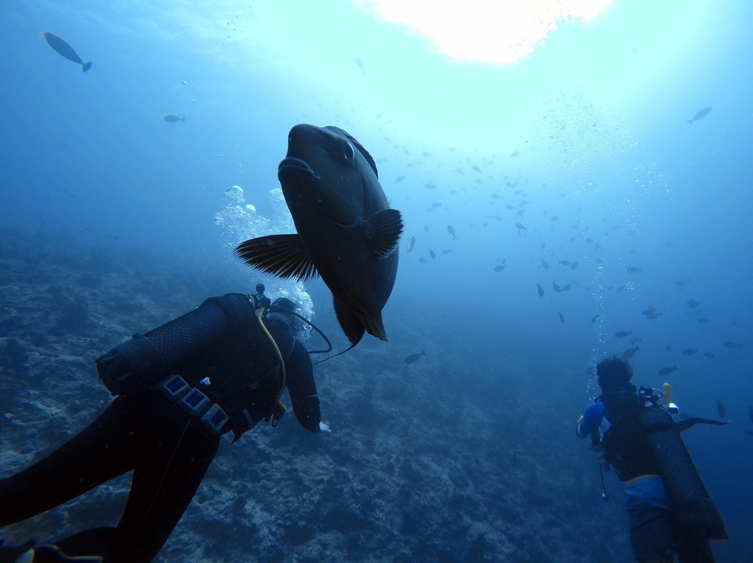 Dive Different Fulidhoo-Fulidhoo必去景点