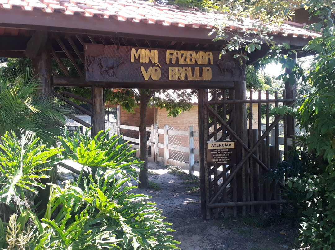 Fazendinha Vo Braulio-Sao Pedro必去景点