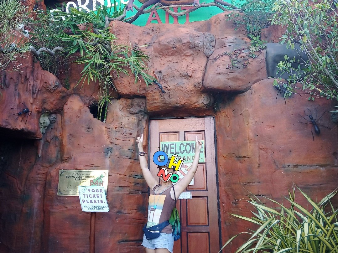 Borneo Ant House-斗亚兰必去景点