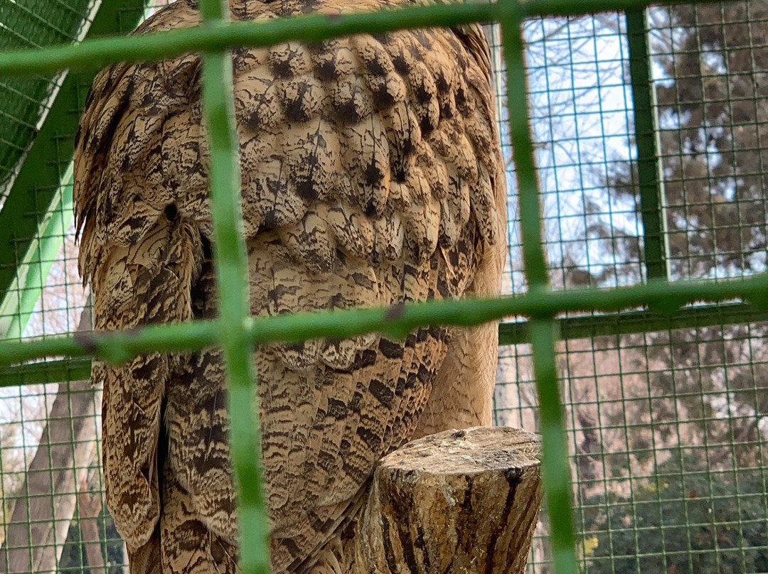 Birds Garden景点图片