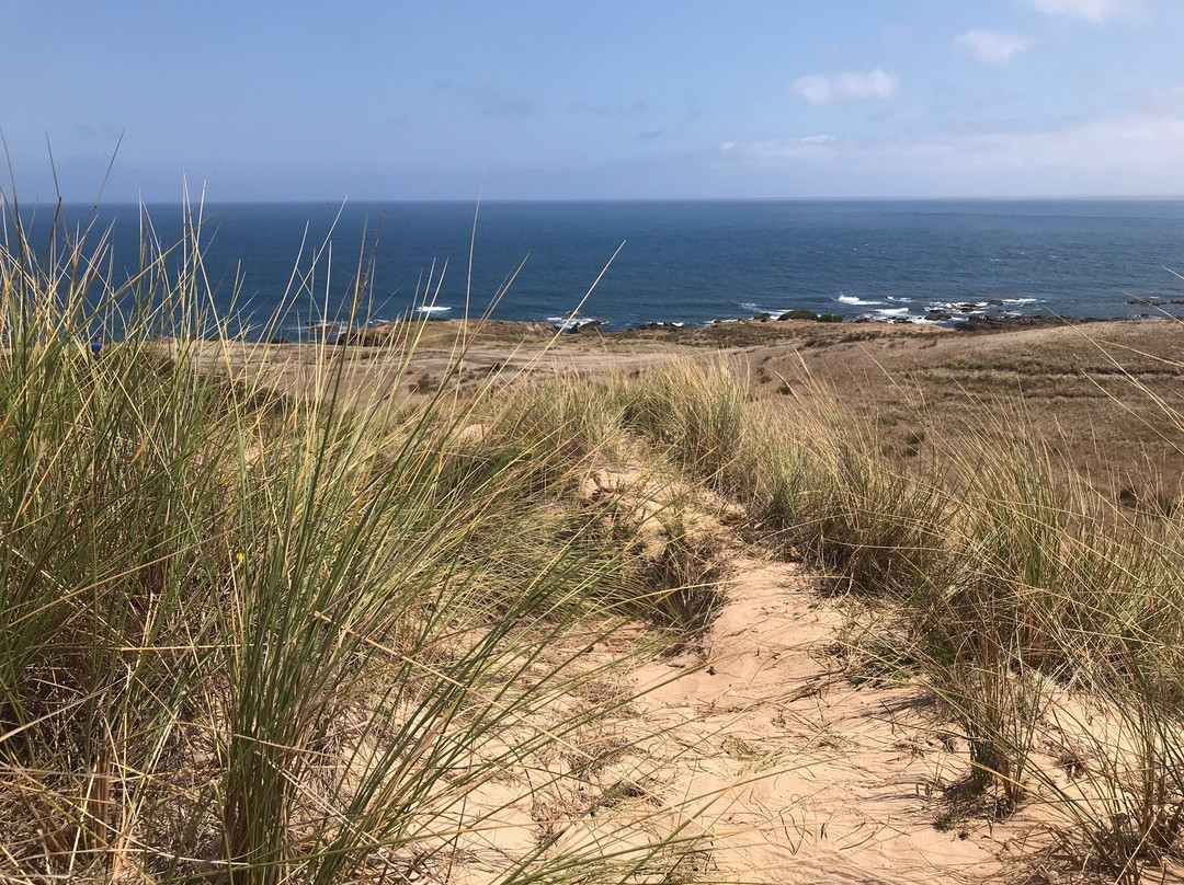 Cape Wickham Lighthouse-Currie必去景点
