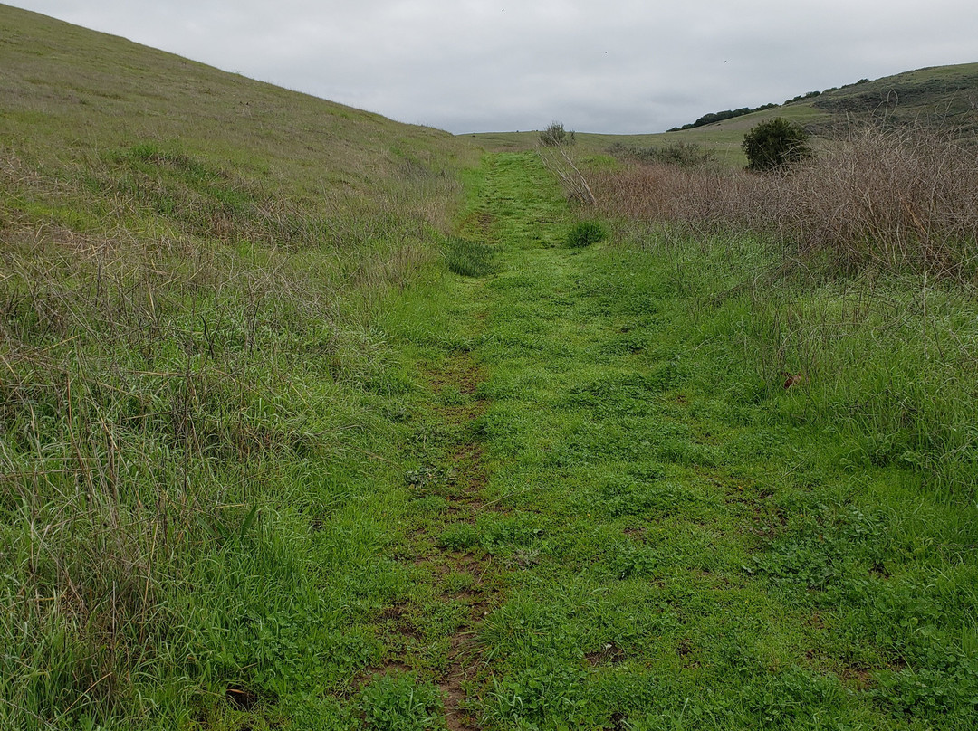 San Luis Obispo botanical garden景点图片