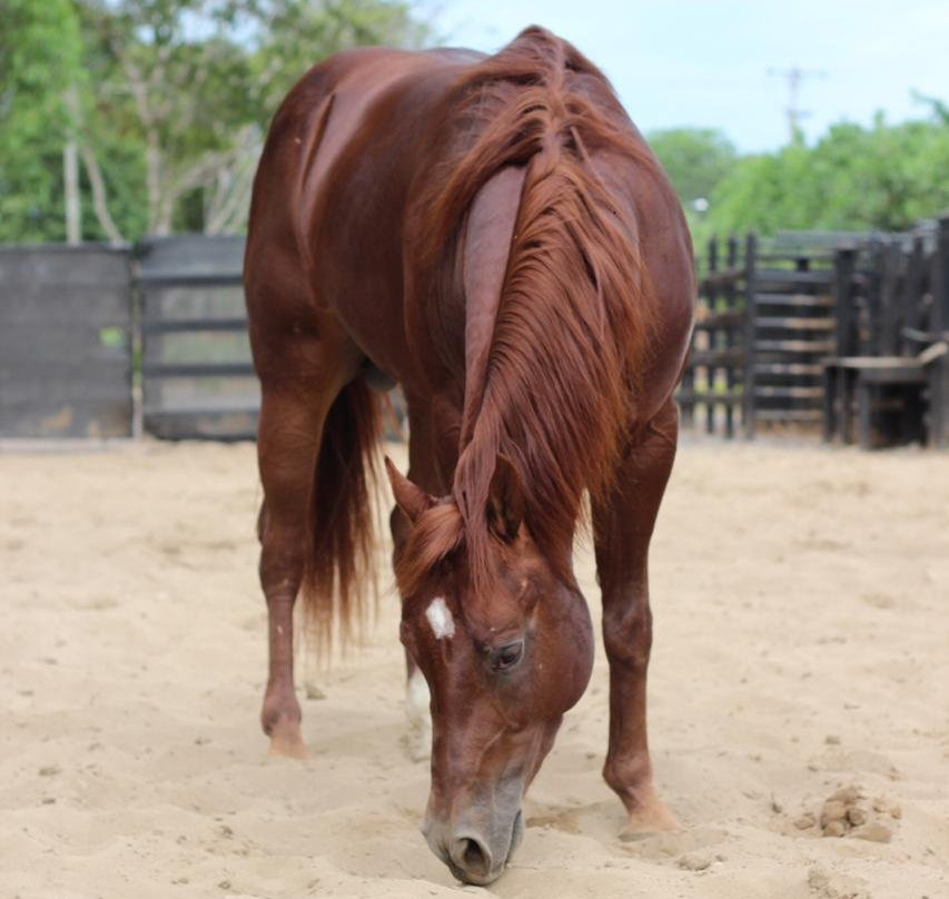 Finca Hotel La Joya主图