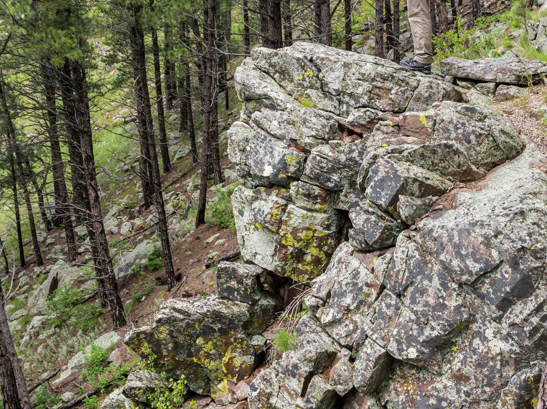 Rankin Ridge Nature Trail-Wind Cave National Park必去景点