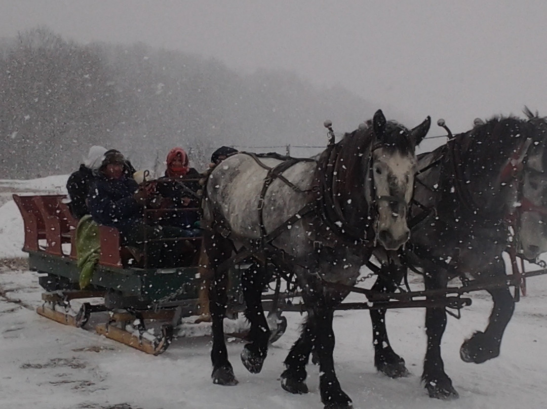 Palmer's Sugarhouse-谢尔本必去景点