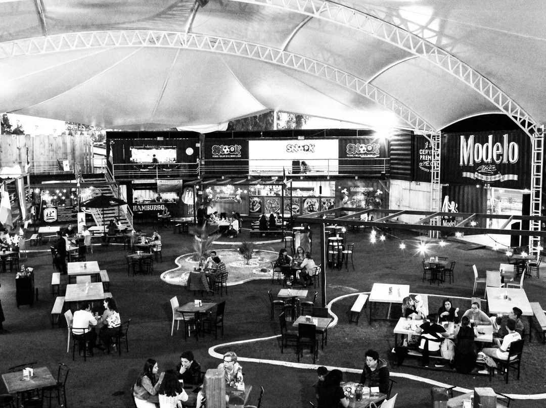 Container Park Celaya