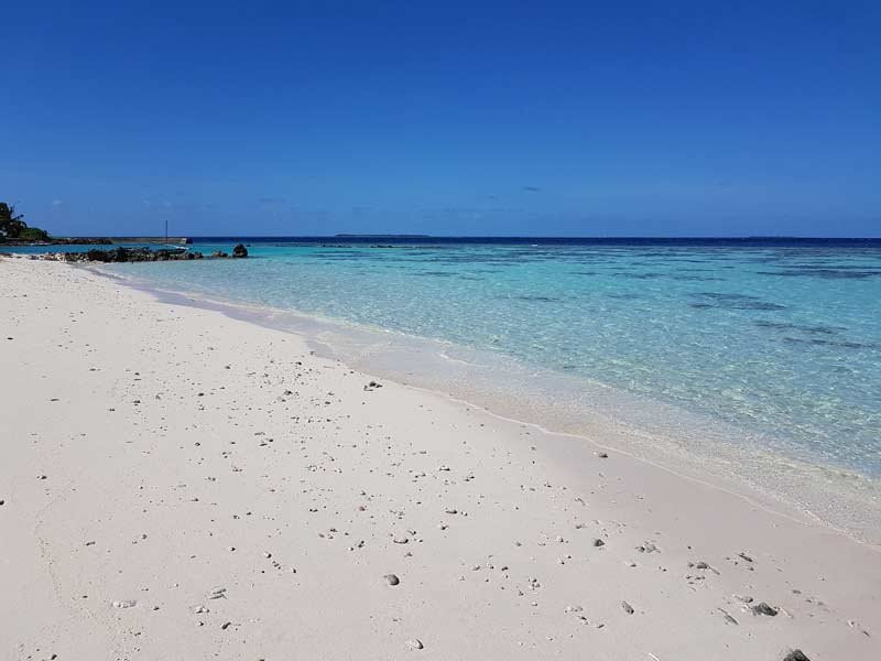 Island Pavilion主图