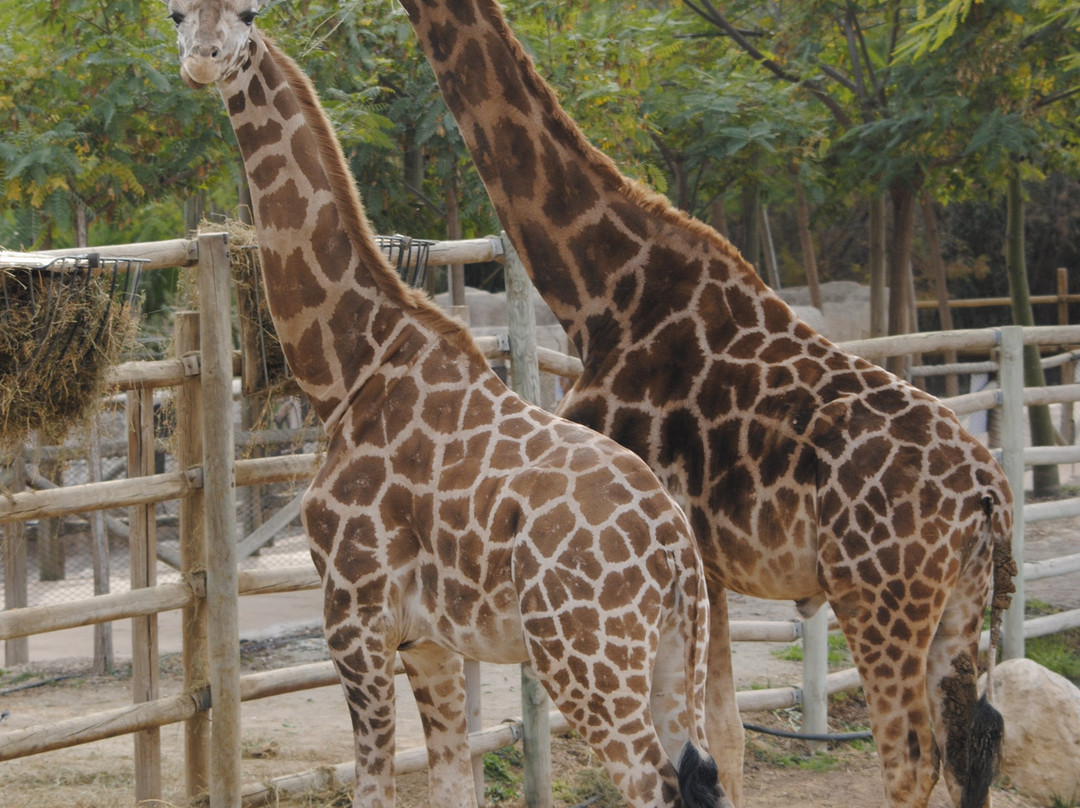 Terra Natura Murcia-穆尔西亚必去景点