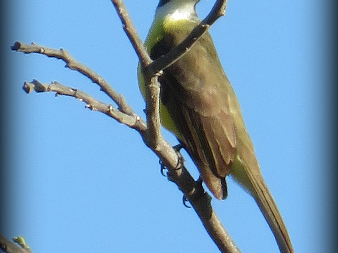 SamaraChilloutLodge主图