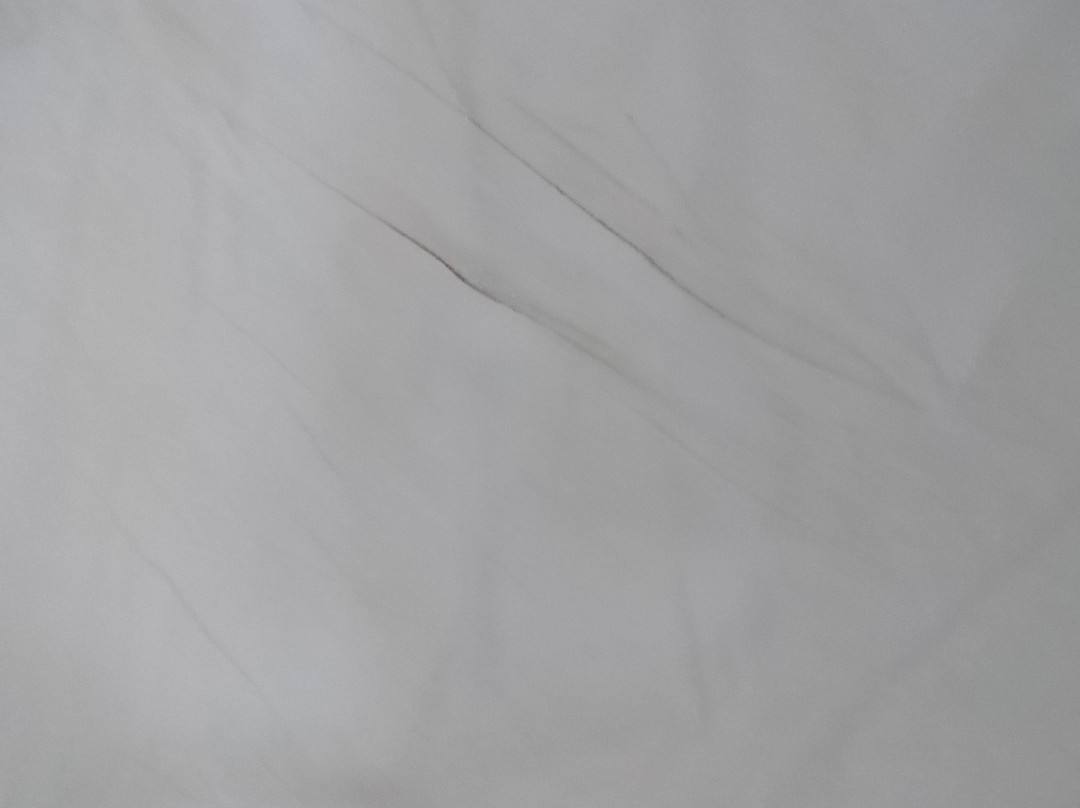 Jamaica Crest Hotel主图