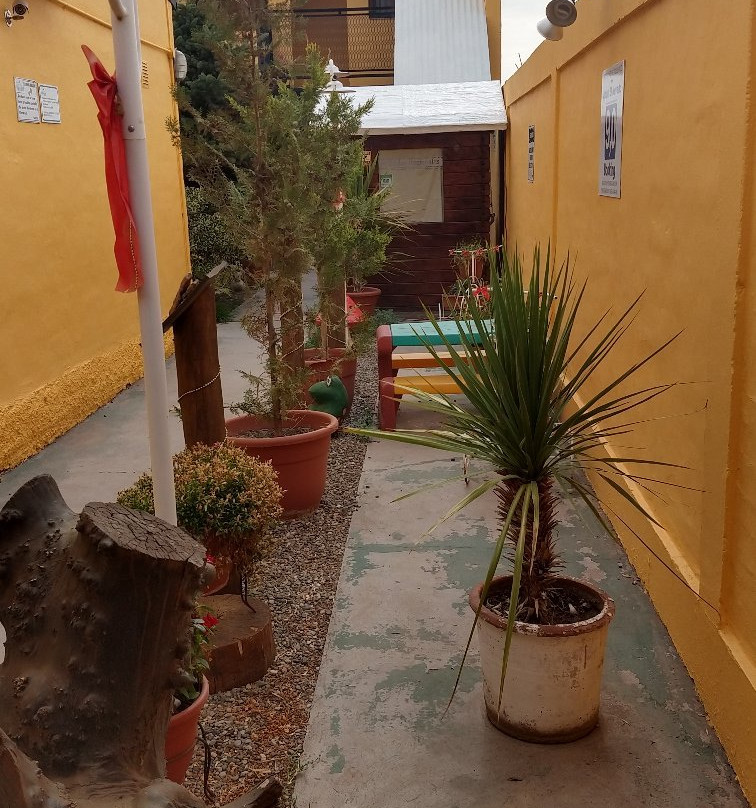 Apart El Nevado主图