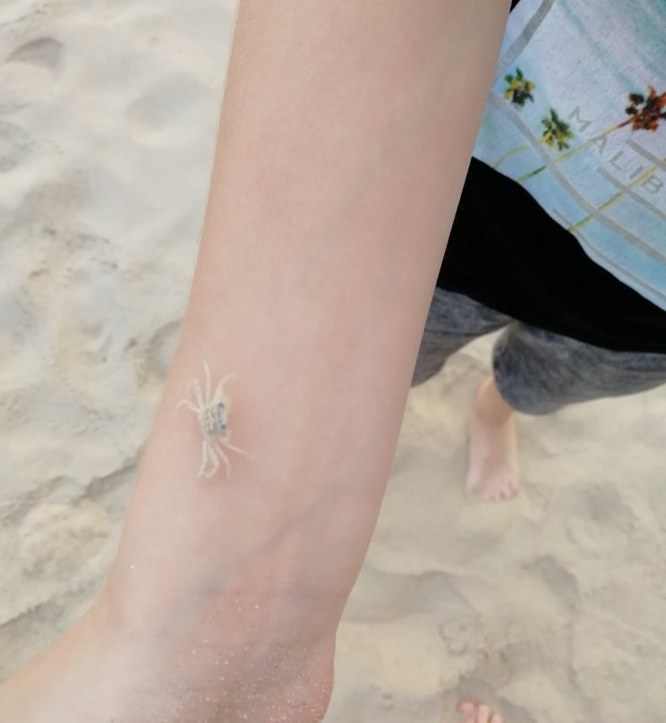 Mawella Beach-唐卡拉必去景点