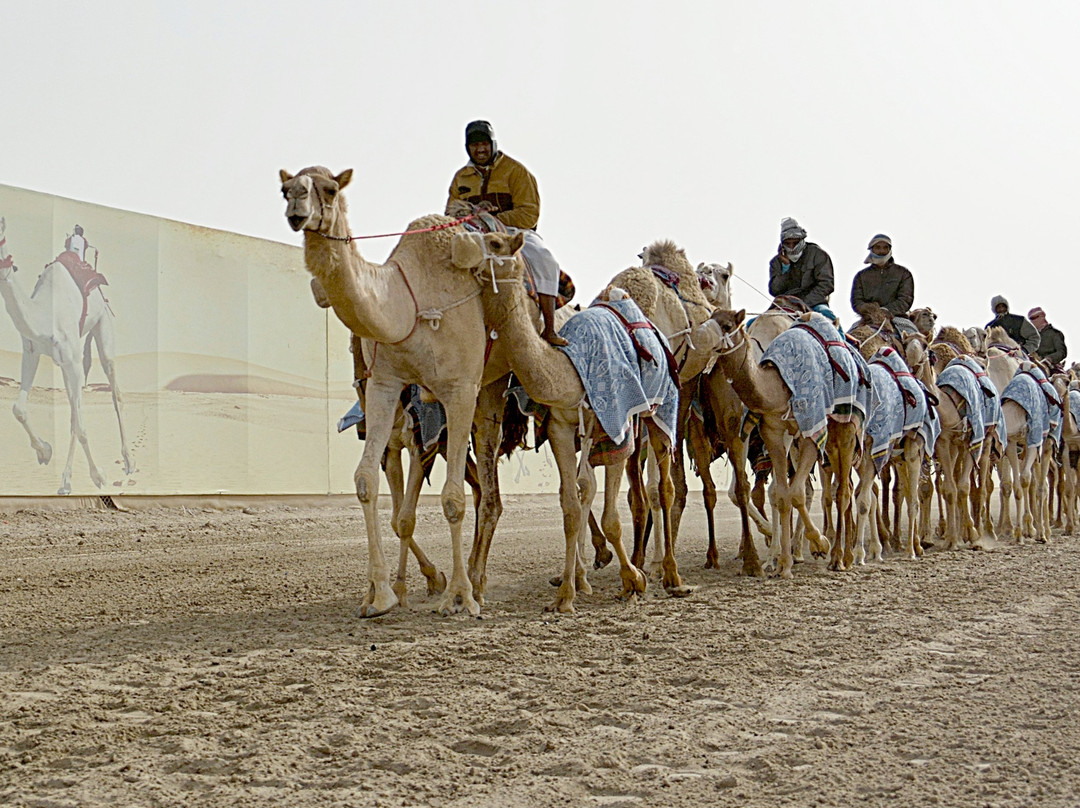 Al Shahaniya Racetrack-Ash-Shahaniyah必去景点