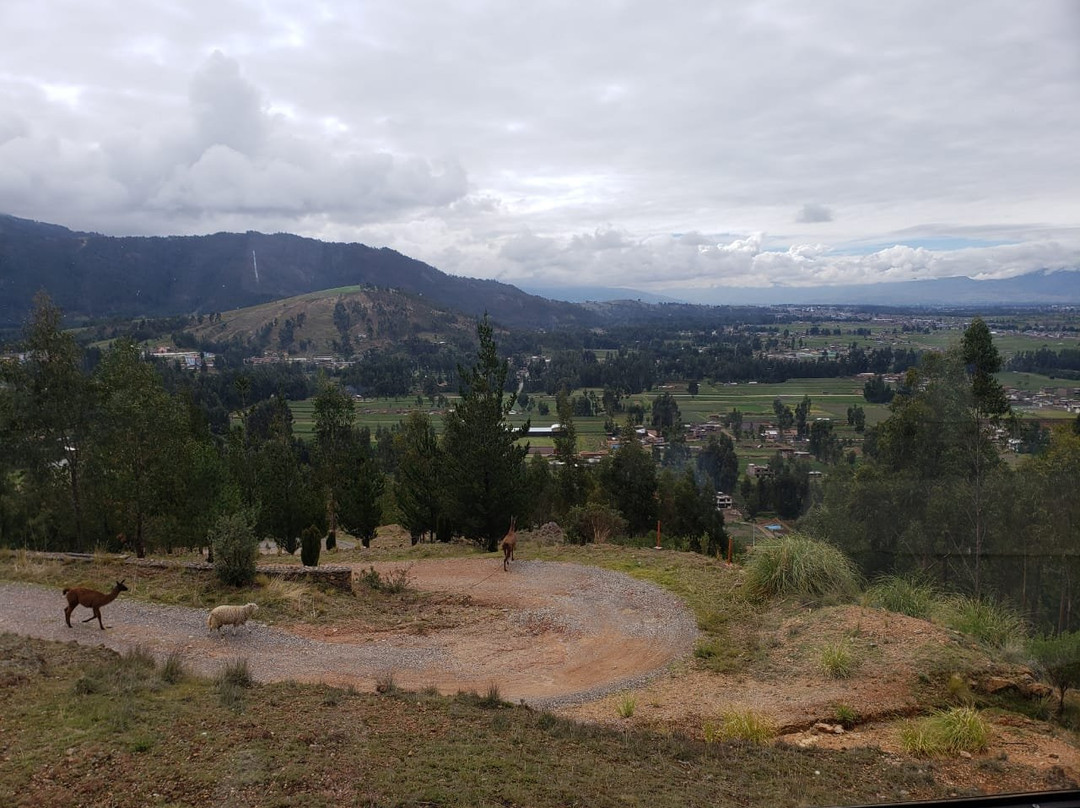 Tuki Llajta Pueblo Bonito Lodge主图