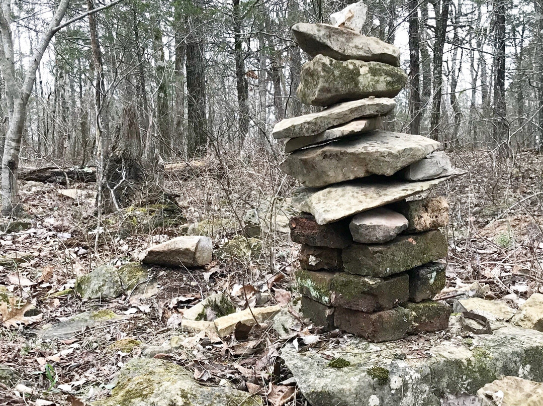 Wade Mountain Nature Preserve-亨茨维尔必去景点