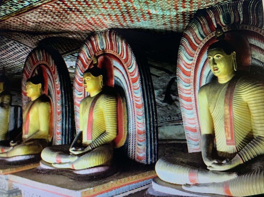 Sri Lanka Amal Tours-品纳维拉必去景点