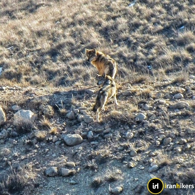 Golestan National Park景点图片