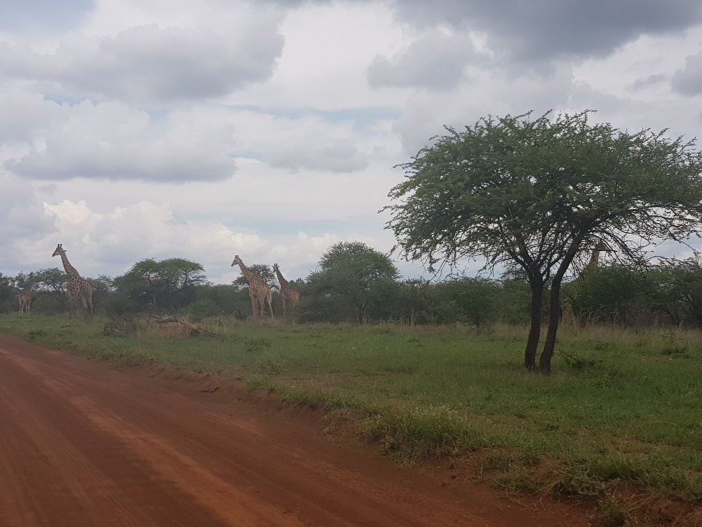 Sondela Nature Reserve Accommodation主图