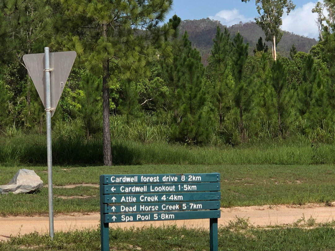 Cardwell Forest Drive-卡德威尔必去景点