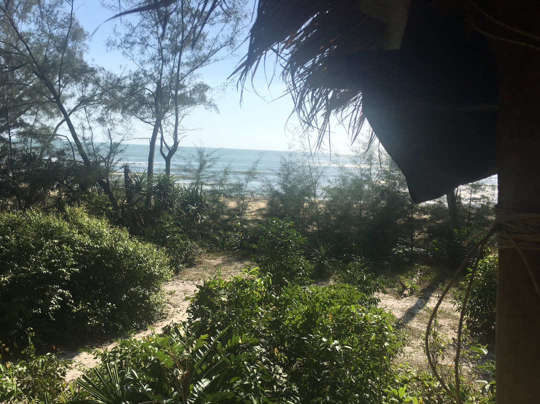 Kactus - The Hidden Treehouse主图