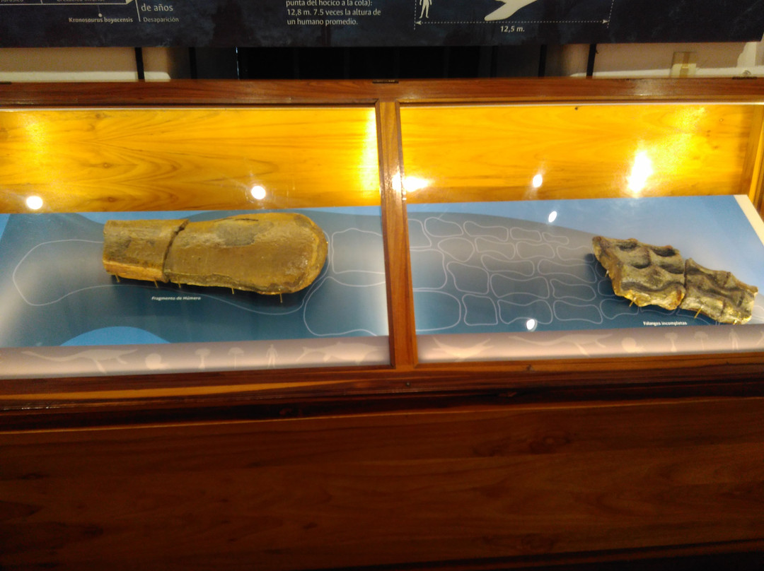 Museo Paleontologico de Villa de Leyva-莱瓦镇必去景点